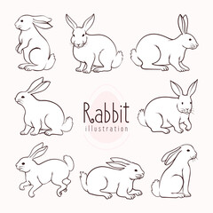 Cute Rabbit Illustration set