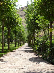 Fototapeta premium alley in the park