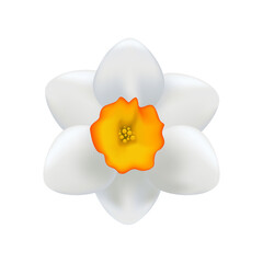 3d Daffodil Flower. Icon for Spring Design. Cartoon Minimal Style. Trendy Vector Realistic Illustration.