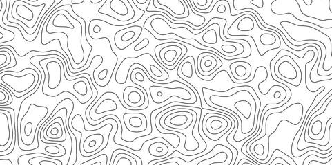 abstract white wave paper curved reliefs background. Topography map pattern, Geographic curved, vector illustration. seamless textrue, vintage waves. Panorama view multicolor wave curve line.