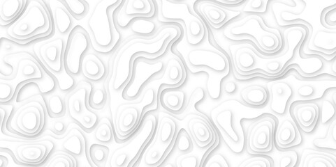 white paper and relief wave and cruve line paper cut background. soft white color seamless pattern, vector illustration, multi layer cutout banner design. topo counter map in 3d view.