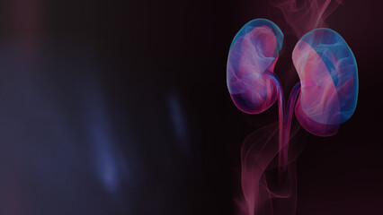 Glowing Fluorescent Kidney Graphic with Atmospheric Smoky Pink and Blue Dark Background Right Aligned
