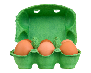 Open green egg box with eggs isolated on white background