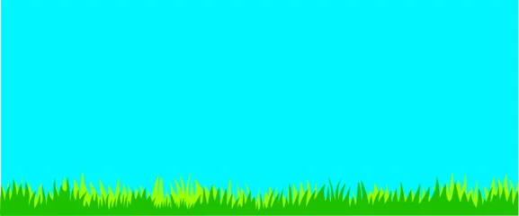 Fototapeten Türkis fresh green grass on a blue sky background  © Artmoreink