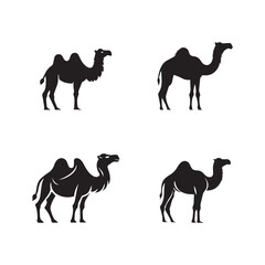 Four Silhouette Illustrations of Camels in Various Poses on White Background