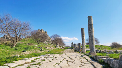 The columns on the colonnaded street in the Castabala - Hierapolis ancient city in the ancient...