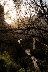 Road in the mountains in Tenerife