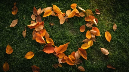 Zelfklevend Fotobehang Fundo fotográfico de outono com folhas secas formando um coração no jardim © Dudarte
