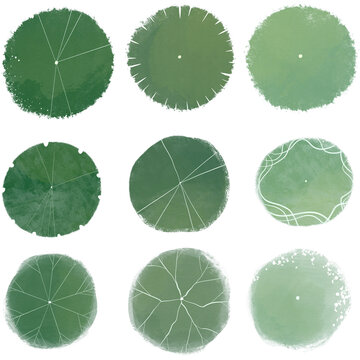 set of tree top view for landscape plan and architecture element. Trees plan