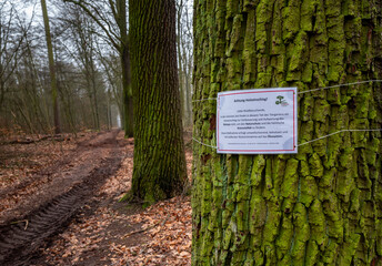 Waldgebiet an der Dahme Seenlandschaft, Königs-Wusterhausen, Brandenburg, Deutschland