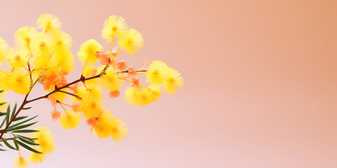 Yellow flowers on a pink background yellow Wild flowers branch on light pink paper background Aai Generative