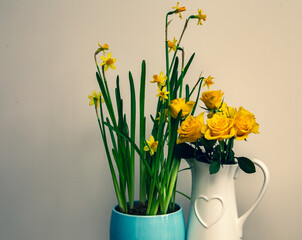 Blue bowl with tete a tete Daffodils growing in and a white jug with a embossed heart emblem on the side with yellow Roses in, against a plain background. 