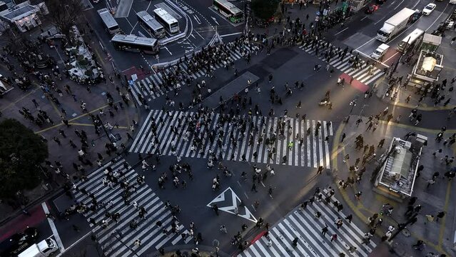 Shibuya Scramble Square aerial view, busy urban intersection with crowds of pedestrians and heavy traffic in Japanese capital, Asian metropolis landmark
