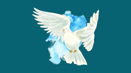 white dove on blue
