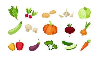 Different food icons set. Juicy vegetables. Pumpkin, cucumber, cabbage and carrot. Healthy and fresh eating. Poster or banner. Cartoon flat vector collection isolated on white background