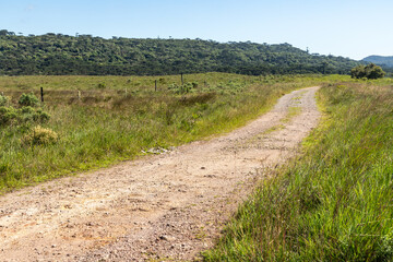 Fototapeta na wymiar Dirty road in farm field