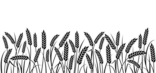 Ears of wheat, rye or barley. Wheat field seamless pattern. Organic wheat, bread agriculture and natural eat, barley or rice millet. Black isolated silhouette on white background - 735135627