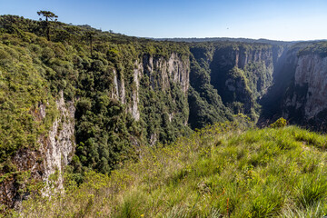Forest and cliffs in Itaimbezinho Canyon