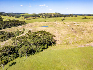 Aerial view of a farm field with a small Araucaria forest