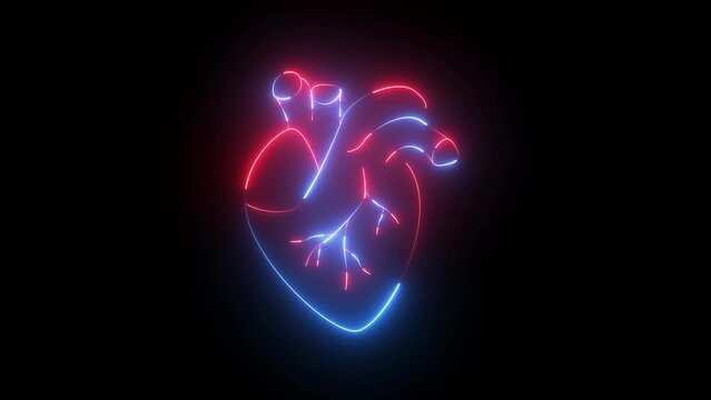 Neon human heart animation. Animation of a beating glowing human heart with alpha channel. 