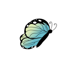 Butterfly vector, Butterfly element, Butterfly 
