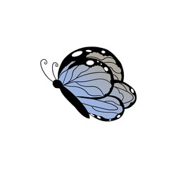 Butterfly vector, Butterfly element, Butterfly 