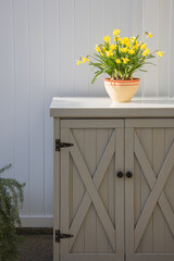 Arrangement of daffodils (narcissus)  on a little cabinet in front of a gray divider