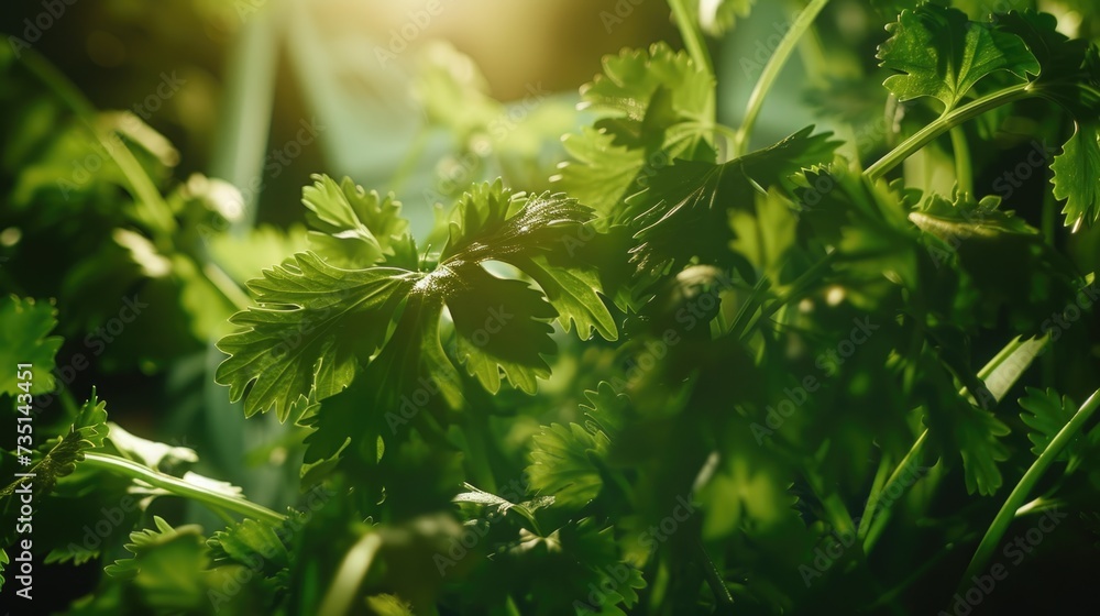 Poster a close up view of a bunch of green leaves. suitable for nature and environmental themes