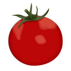 Red tomato icon with green stalk isolated on transparent and white background. Natural element closeup to decorate menu design and website banner. Vector cartoon illustration. Fresh vegetables.