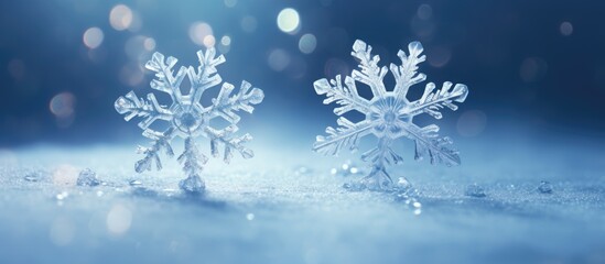 two delicate real snowflakes on a textured background of frost and ice crystals. Creative Banner. Copyspace image