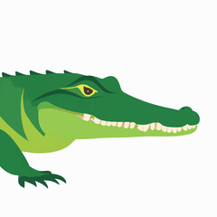 Crocodile logo on a white background  