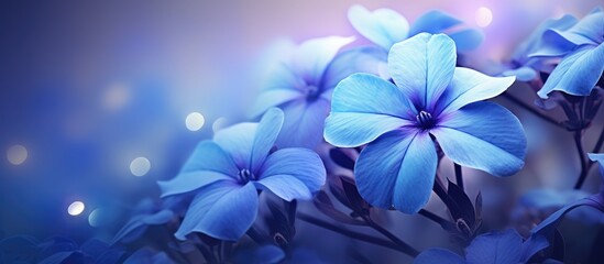 Mesmerizing macro capture of delicate blue periwinkle flowers showcasing their intricate beauty and vibrant hues. Creative Banner. Copyspace image
