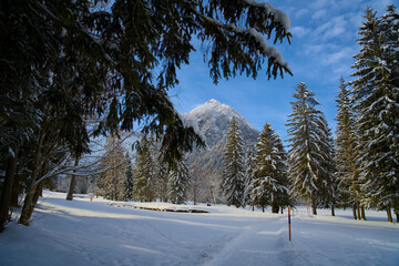 Winter hiking trail in a snow-covered landscape in Pertisau at Lake Achensee.