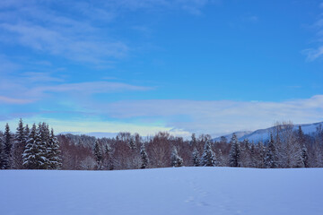 Winter of rural Toten, Norway, by the Krabyskogen Forest.