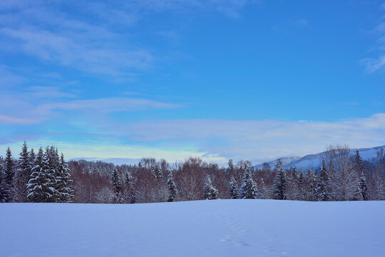Winter of rural Toten, Norway, by the Krabyskogen Forest.