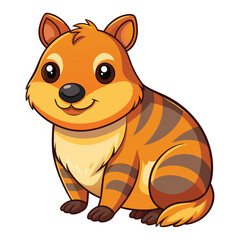 Cartoon cute Quokka Illustration on white