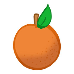illustration of an orange fruit