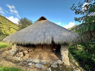 Fototapeta na wymiar ancestral hut in the forest