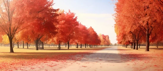 Poster Bereich red autumn park as nice natural background. Creative Banner. Copyspace image