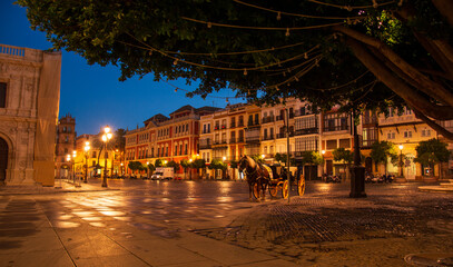 Fototapeta na wymiar the carriage and the horse waiting for tourists in the center of Seville in Andalusia