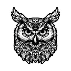 Head of an owl bird. vector illustration