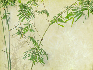 green bamboo on old grunge antique paper texture