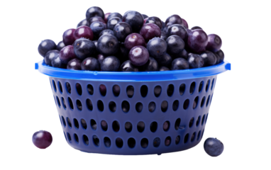 Plastic Basket Containing Acai Berry isolated on transparent Background