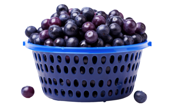 Plastic Basket Containing Acai Berry isolated on transparent Background