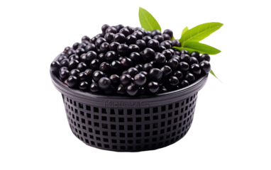 Plastic Basket Containing Acai Berry isolated on transparent Background