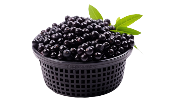 Plastic Basket Containing Acai Berry isolated on transparent Background
