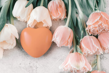 Heart shaped toy and tulips in peach fuzz color. Fresh tulip flowers and hearts on gray concrete...
