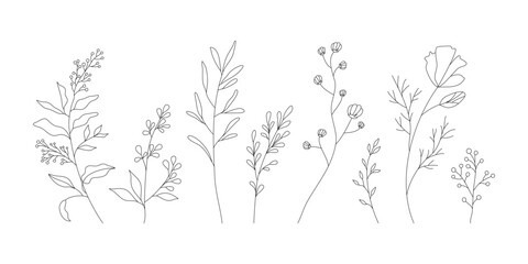 Hand drawn wild field flora, flowers, leaves, herbs, plants, branches. Minimal floral botanical line art. Vector illustration for logo or tattoo, invitations, save the date card.	