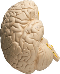 LAYER-LAB_0403198627_LC