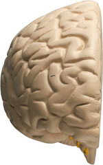 LAYER-LAB_0403198647_LC